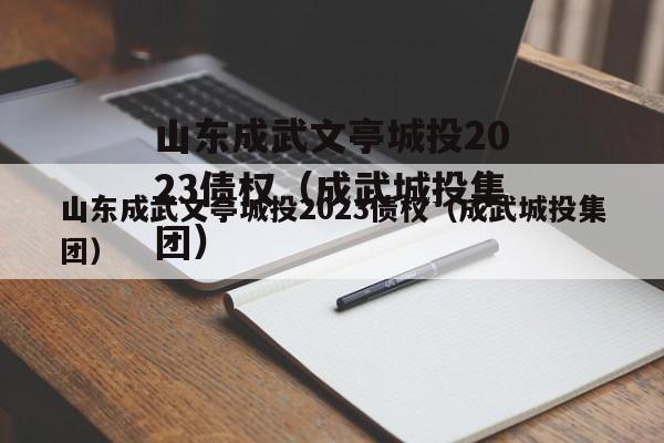 山东成武文亭城投2023债权（成武城投集团）