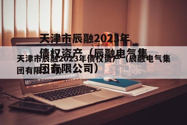天津市辰融2023年债权资产（辰融电气集团有限公司）