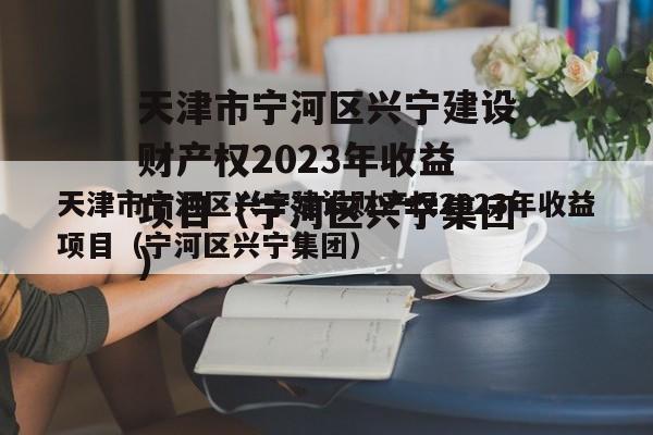 天津市宁河区兴宁建设财产权2023年收益项目（宁河区兴宁集团）