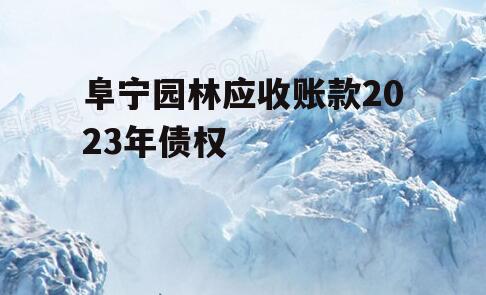 阜宁园林应收账款2023年债权