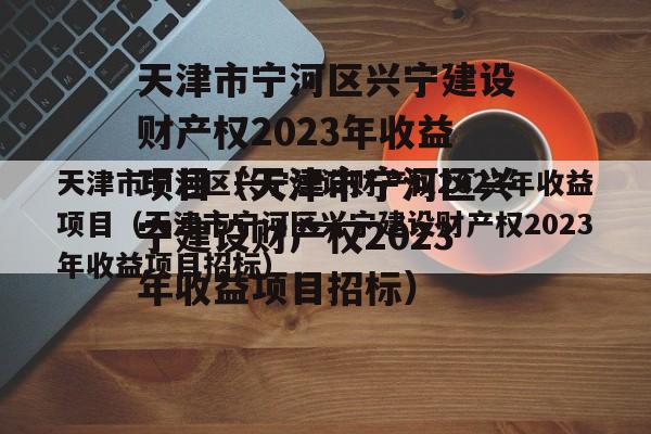 天津市宁河区兴宁建设财产权2023年收益项目（天津市宁河区兴宁建设财产权2023年收益项目招标）