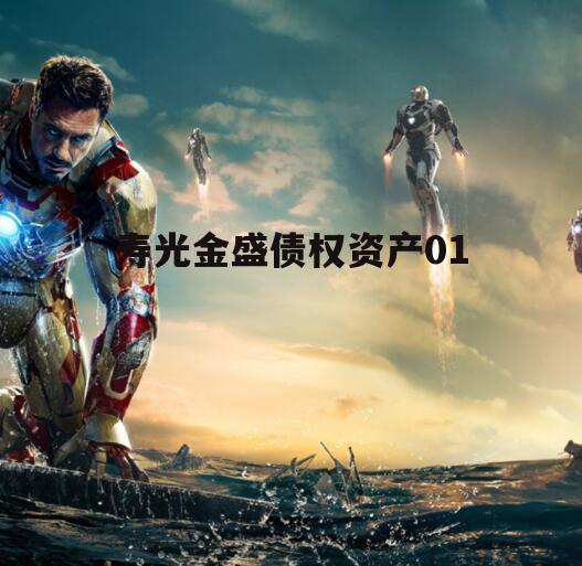 寿光金盛债权资产01