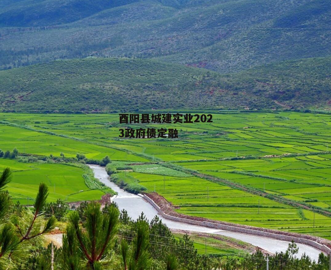 酉阳县城建实业2023政府债定融