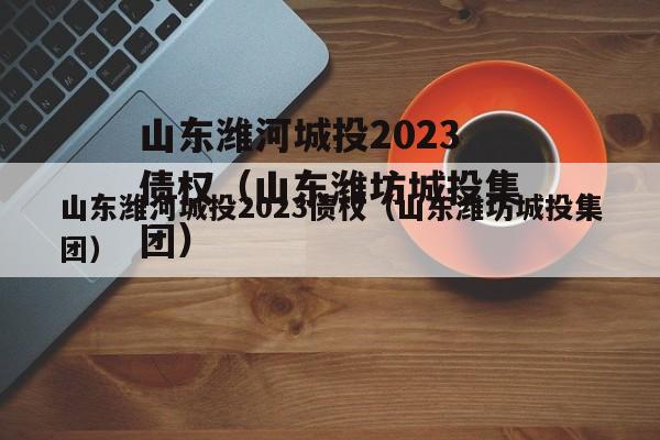 山东潍河城投2023债权（山东潍坊城投集团）