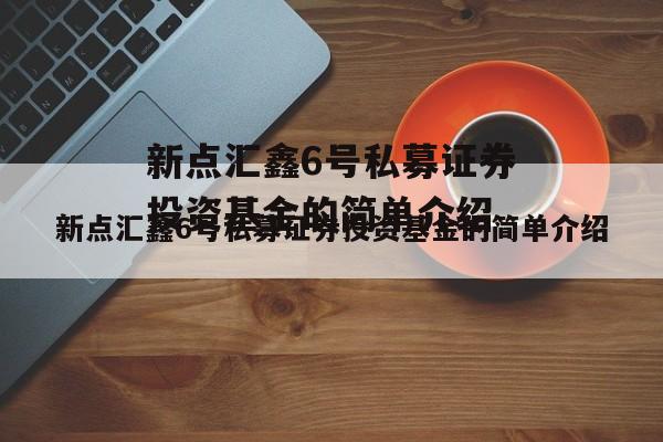 新点汇鑫6号私募证券投资基金的简单介绍