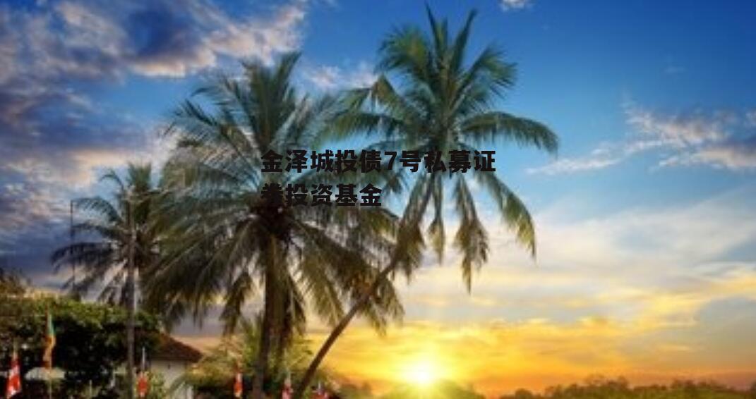 金泽城投债7号私募证券投资基金