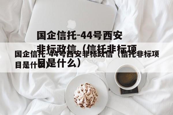 国企信托-44号西安非标政信（信托非标项目是什么）
