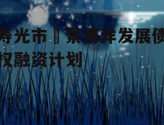 寿光市昇景海洋发展债权融资计划