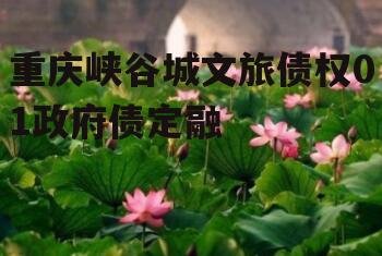 重庆峡谷城文旅债权01政府债定融