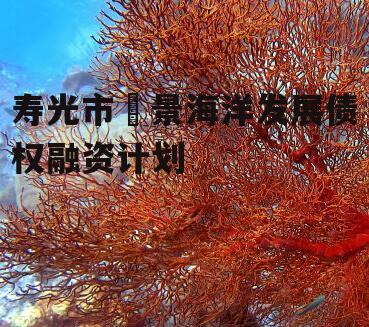 寿光市昇景海洋发展债权融资计划