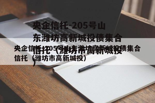 央企信托-205号山东潍坊高新城投债集合信托（潍坊市高新城投）
