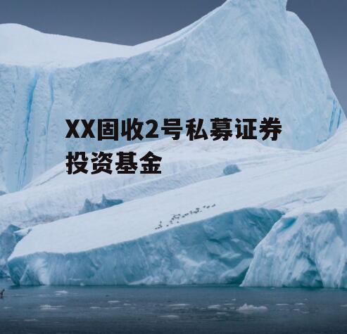 XX固收2号私募证券投资基金