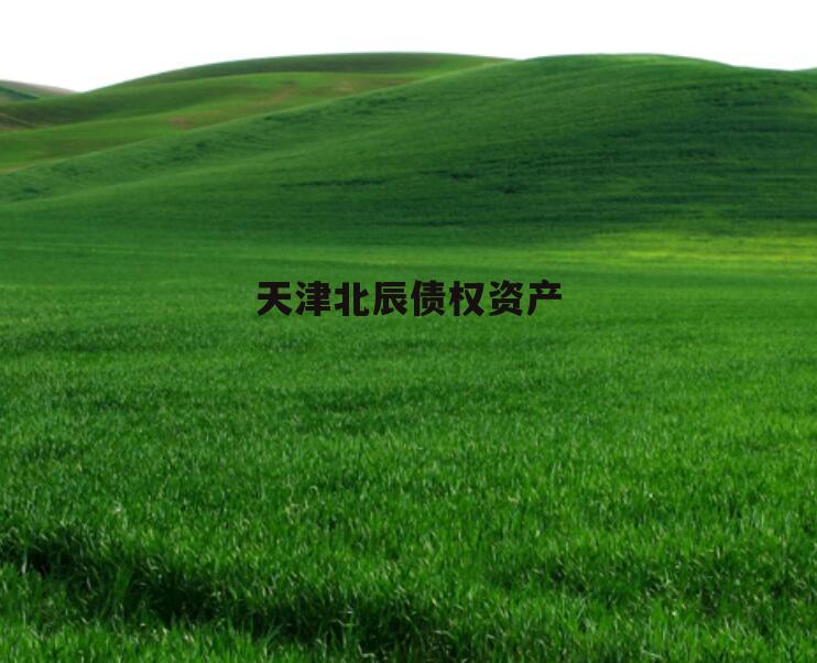 天津北辰债权资产