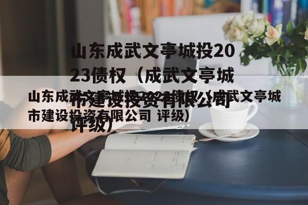 山东成武文亭城投2023债权（成武文亭城市建设投资有限公司 评级）