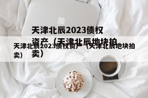 天津北辰2023债权资产（天津北辰地块拍卖）
