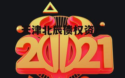天津北辰债权资产