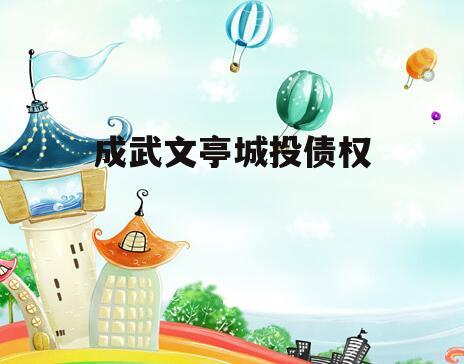 成武文亭城投债权