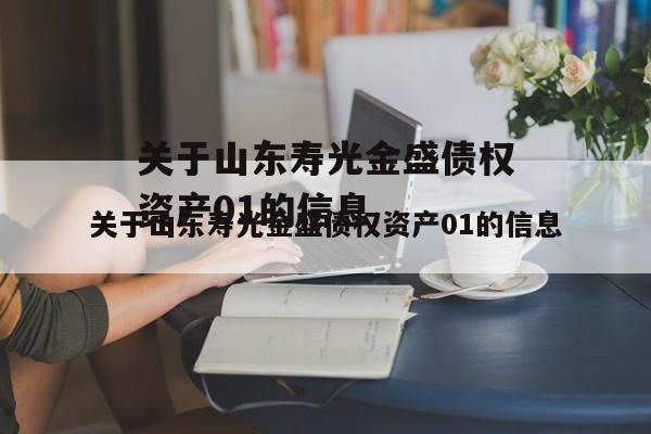 关于山东寿光金盛债权资产01的信息