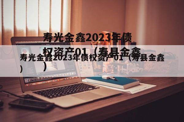 寿光金鑫2023年债权资产01（寿县金鑫）