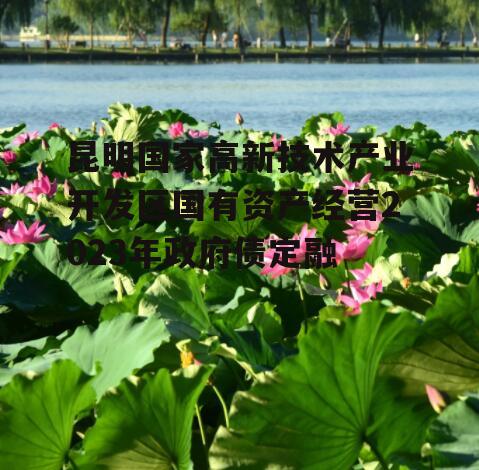 昆明国家高新技术产业开发区国有资产经营2023年政府债定融