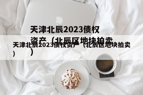 天津北辰2023债权资产（北辰区地块拍卖）