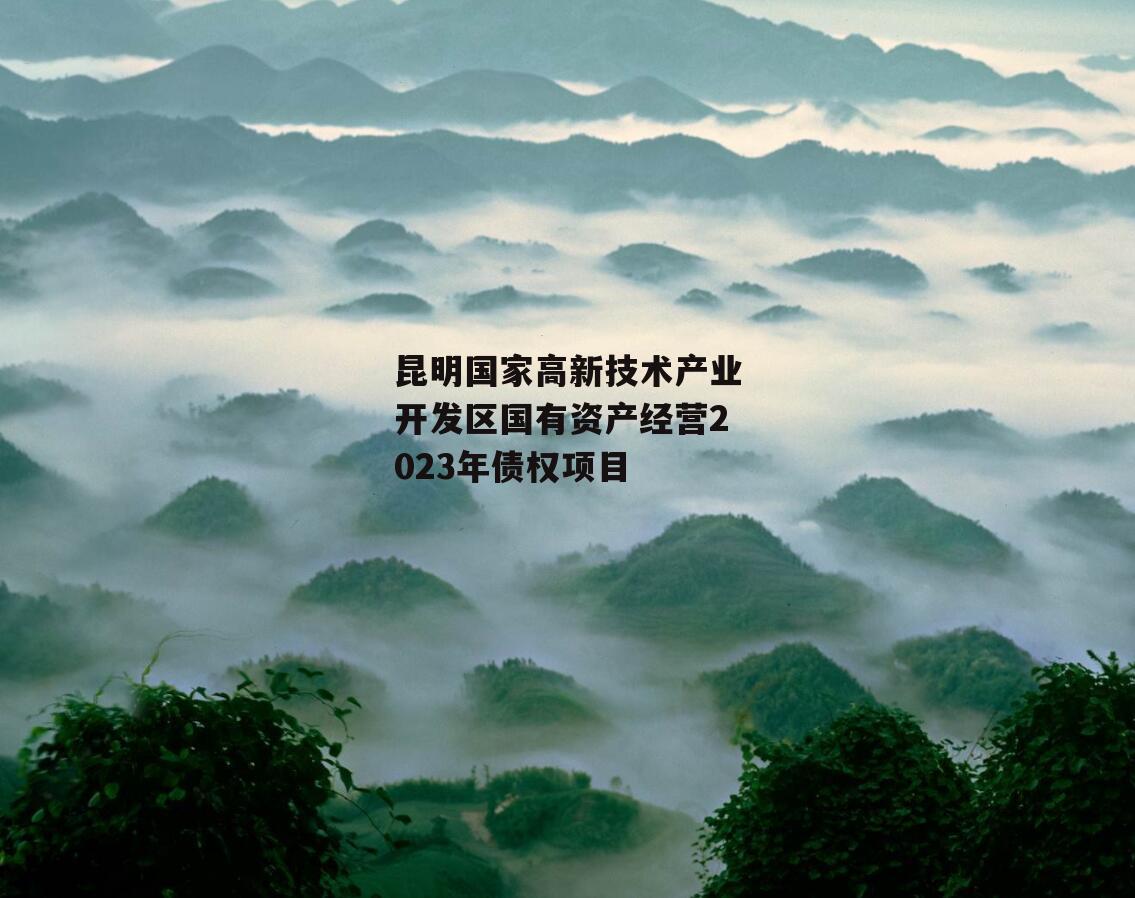 昆明国家高新技术产业开发区国有资产经营2023年债权项目