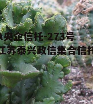 A央企信托-273号江苏泰兴政信集合信托