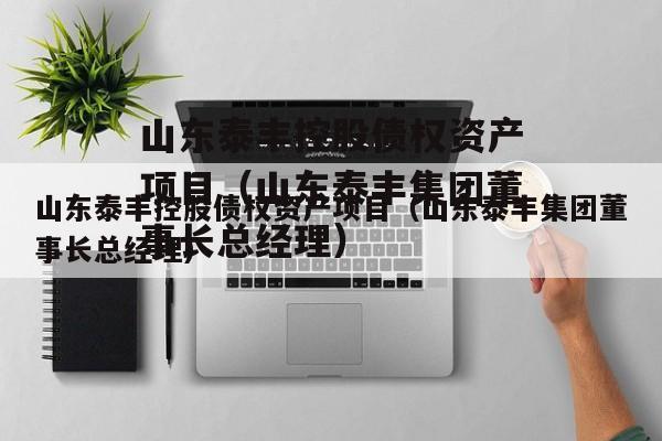 山东泰丰控股债权资产项目（山东泰丰集团董事长总经理）
