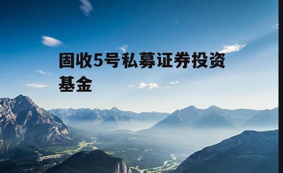 固收5号私募证券投资基金
