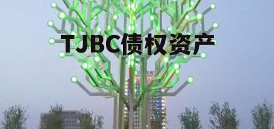 TJBC债权资产