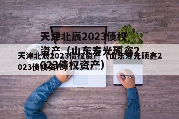 天津北辰2023债权资产（山东寿光硕鑫2023债权资产）