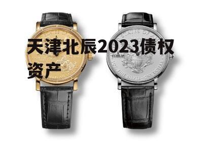 天津北辰2023债权资产