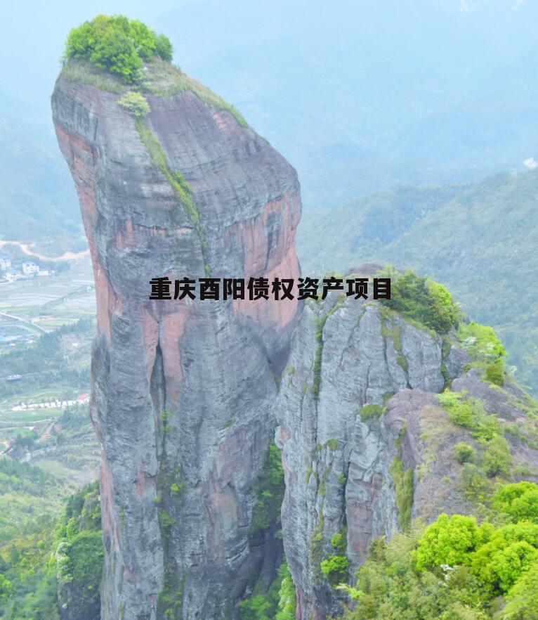 重庆酉阳债权资产项目