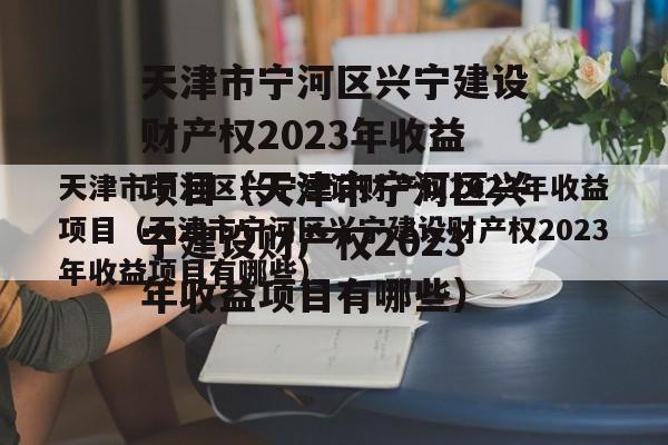 天津市宁河区兴宁建设财产权2023年收益项目（天津市宁河区兴宁建设财产权2023年收益项目有哪些）