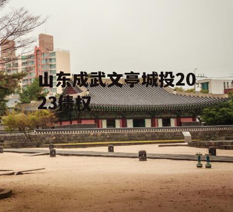 山东成武文亭城投2023债权