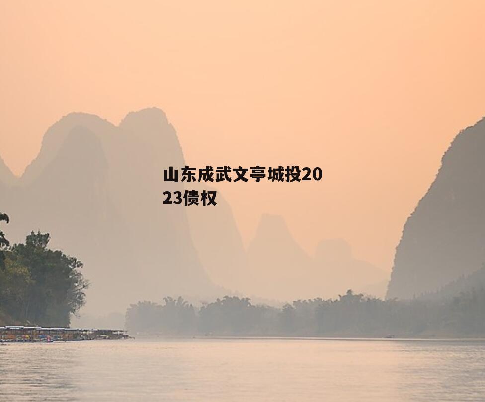 山东成武文亭城投2023债权
