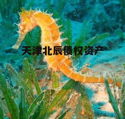 天津北辰债权资产