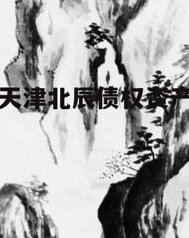 天津北辰债权资产