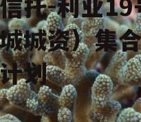 大业信托-利业19号（邹城城资）集合资金信托计划