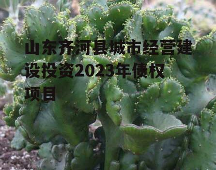 山东齐河县城市经营建设投资2023年债权项目