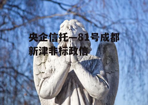 央企信托—81号成都新津非标政信