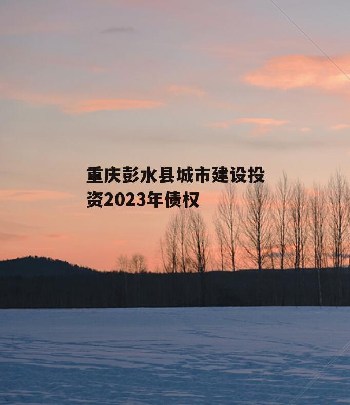 重庆彭水县城市建设投资2023年债权