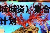 大业信托-利业19号（邹城城资）集合资金信托计划