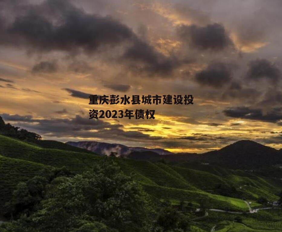 重庆彭水县城市建设投资2023年债权