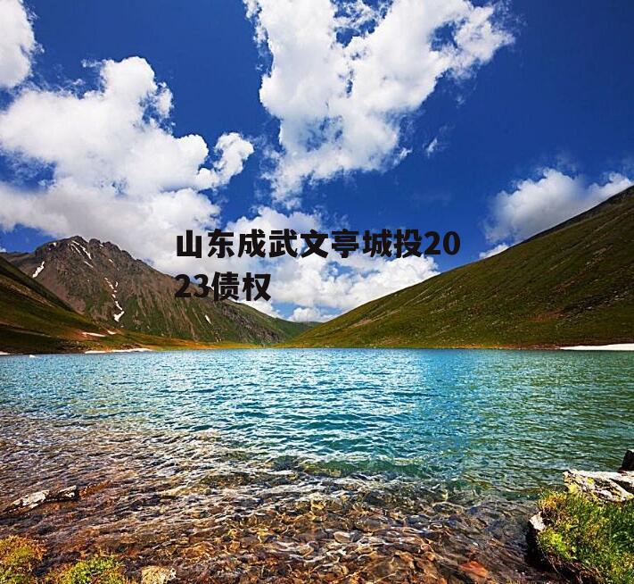山东成武文亭城投2023债权