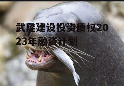 武隆建设投资债权2023年融资计划