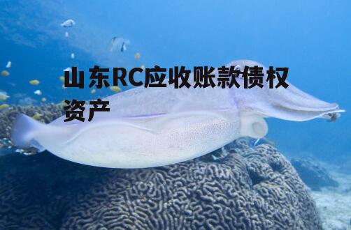 山东RC应收账款债权资产
