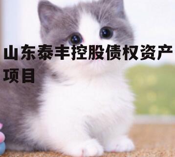 山东泰丰控股债权资产项目