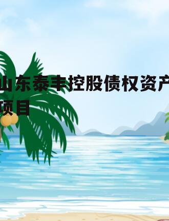 山东泰丰控股债权资产项目