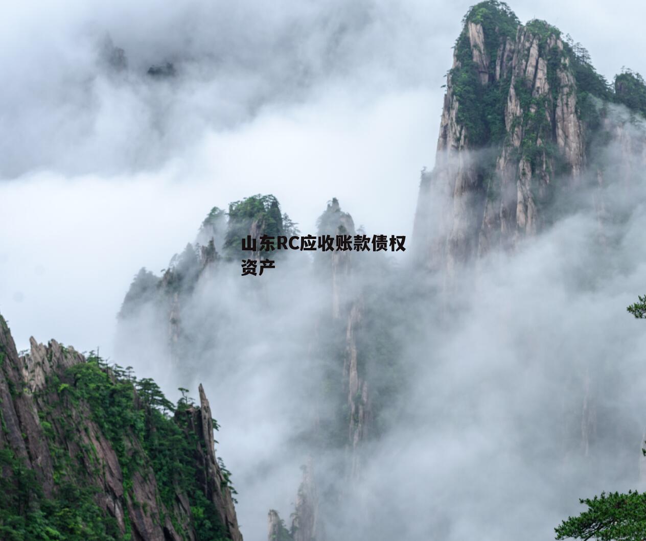 山东RC应收账款债权资产